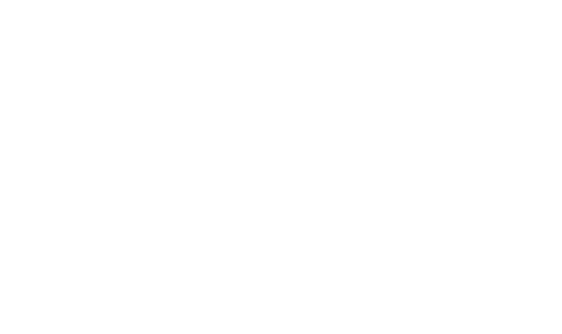 Future Bridge Mining